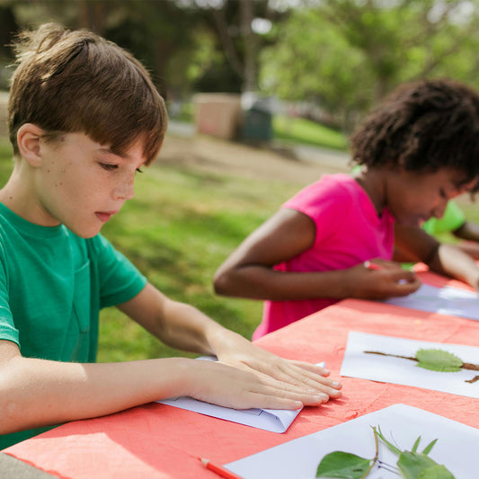 Summer Mini Program